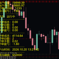 越南黄金2.0（MT5）