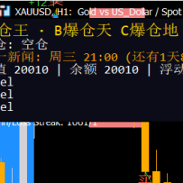 爆仓王-XAUUSD（MT5）